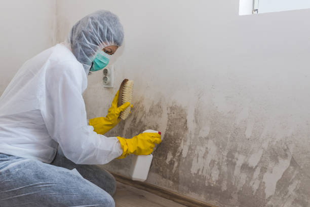 Best Industrial Mold Remediation  in Hustisford, WI